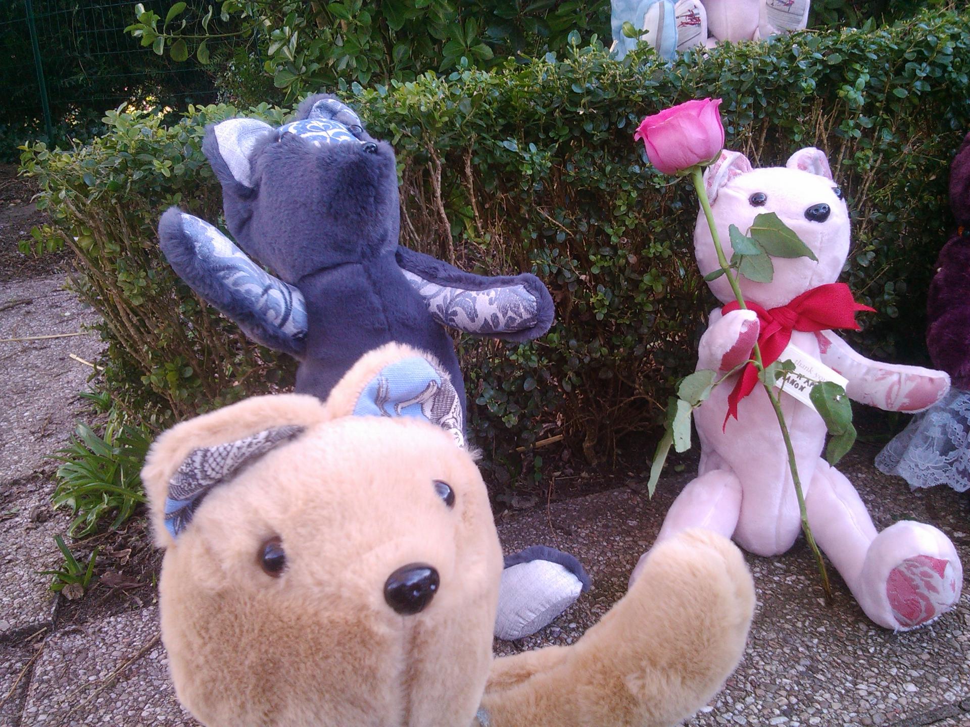Les ours de collection de Fifi